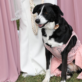 Entry image for Jody