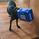 Entry image for Groot