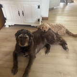 Entry image for Mila and Jemma