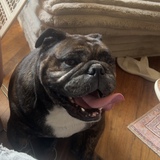 Entry image for Grapple