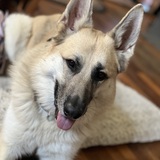 Entry image for Ingrid