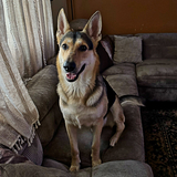 Entry image for Stryker