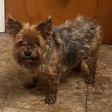 Entry image for Kara