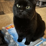 Entry image for Spooky 