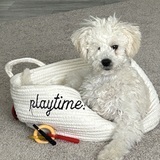 Entry image for Ella