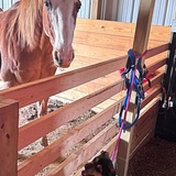 Entry image for Daisy