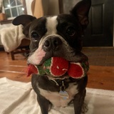 Entry image for Clark