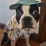 Entry image for Eddie