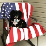 Entry image for Paco aka Chunkers 