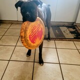 Entry image for Luna