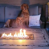 Entry image for Charlie and Luna