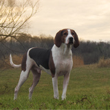 Entry image for Atlas