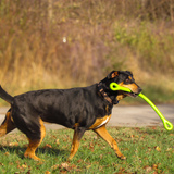 Entry image for Dr. Pepper