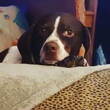 Entry image for Ella-May