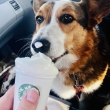 Entry image for Teddy