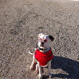 Entry image for Maggie Mae