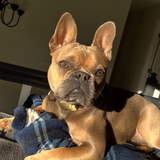 Entry image for Roxy