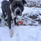 Entry image for Echo 