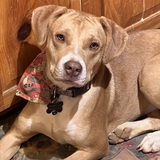 Entry image for Ellie Mae