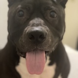 Entry image for King