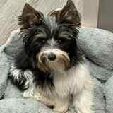 Entry image for Knox