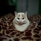 Entry image for Binx