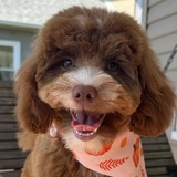 Entry image for Mabel