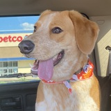 Entry image for Leroy Jethro