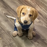 Entry image for Leroy Jethro