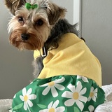 Entry image for Oakleigh 