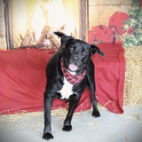 Entry image for Street