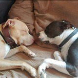 Entry image for Ana and Ollie