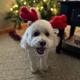 Entry image for Payton