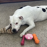 Entry image for Magic