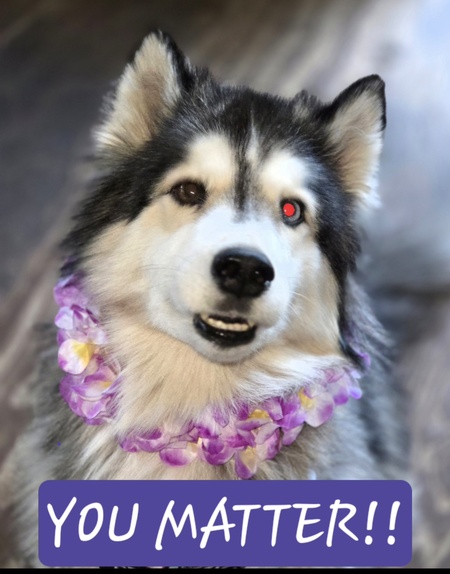 Entry image for Mellow. Clicking this image will show a larger photo