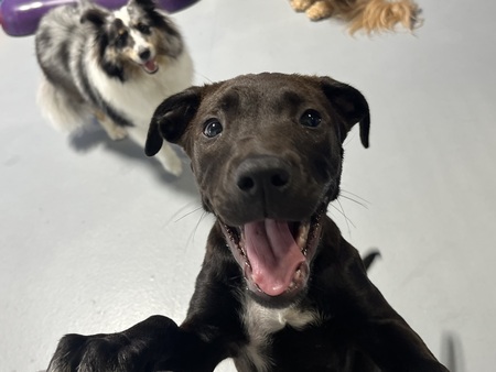 Entry image for Sandra. Clicking this image will show a larger photo