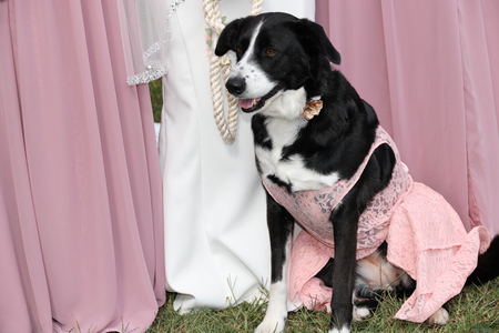 Entry image for Jody. Clicking this image will show a larger photo