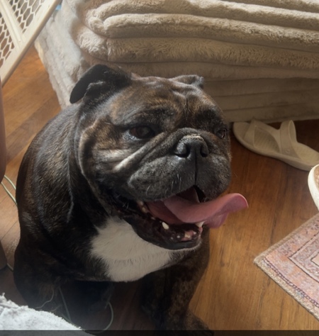 Entry image for Grapple. Clicking this image will show a larger photo