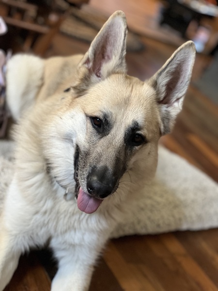 Entry image for Ingrid. Clicking this image will show a larger photo