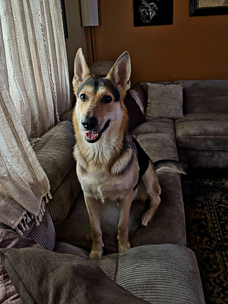 Entry image for Stryker. Clicking this image will show a larger photo