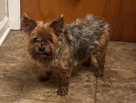 Entry image for Kara. Clicking this image will show a larger photo