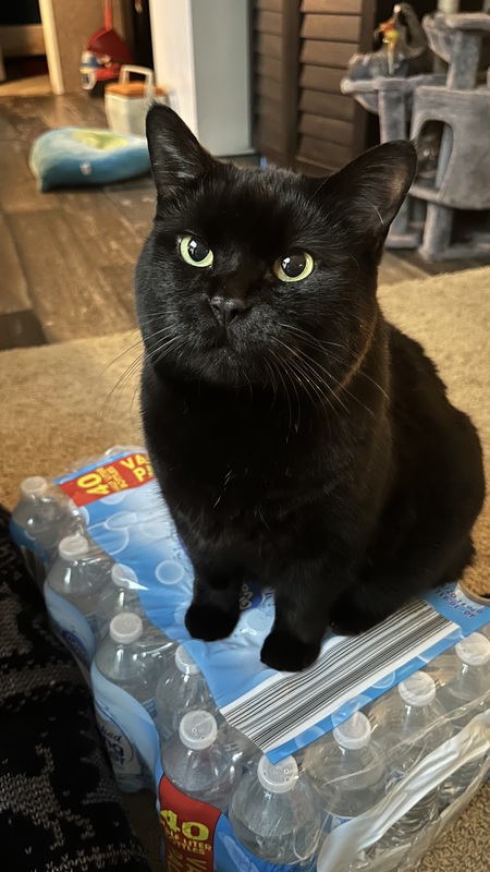 Entry image for Spooky . Clicking this image will show a larger photo