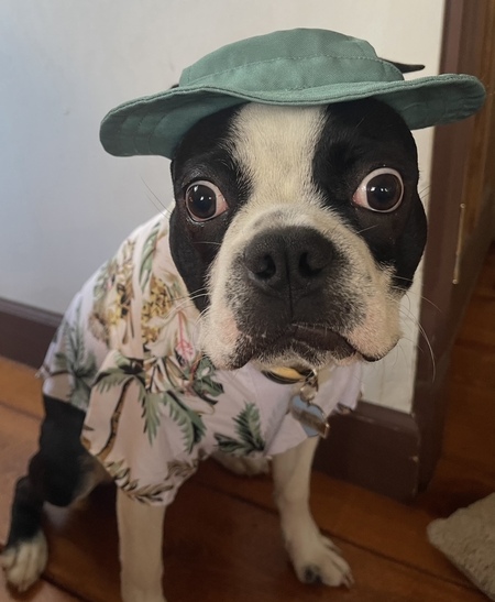 Entry image for Eddie. Clicking this image will show a larger photo