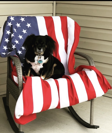 Entry image for Paco aka Chunkers . Clicking this image will show a larger photo