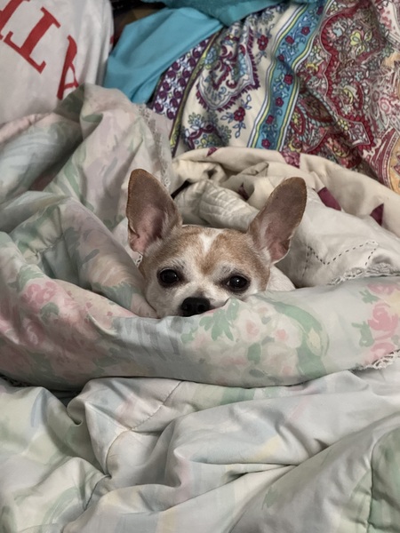 Entry image for Harry-Albérto. Clicking this image will show a larger photo