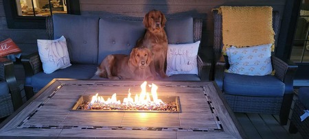 Entry image for Charlie and Luna. Clicking this image will show a larger photo