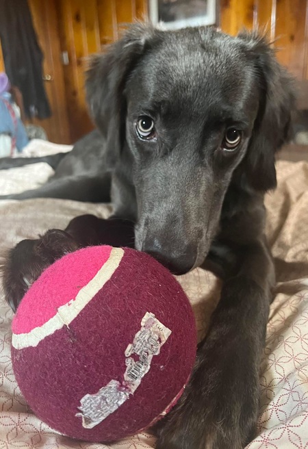 Entry image for Ripple. Clicking this image will show a larger photo