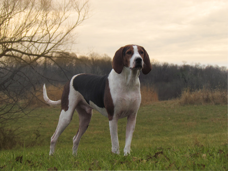 Entry image for Atlas. Clicking this image will show a larger photo