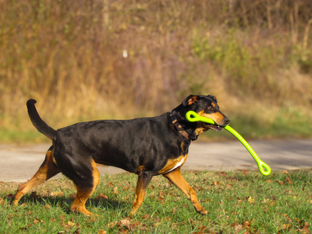 Entry image for Dr. Pepper. Clicking this image will show a larger photo