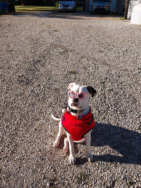 Entry image for Maggie Mae. Clicking this image will show a larger photo